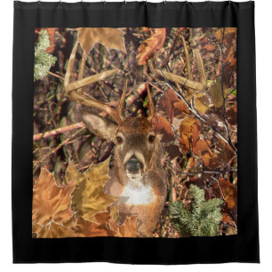 White Tail Deer Head Fall Energy Spirited on a