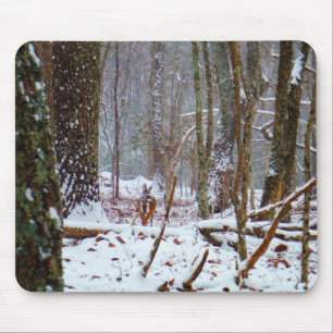 white tail deer in the snow mouse pad