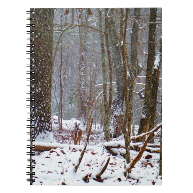 white tail deer in the snow notebook (Front)