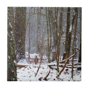 white tail deer in the snow tile