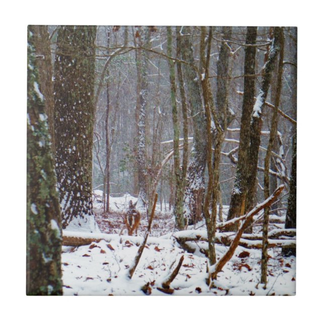 white tail deer in the snow tile (Front)