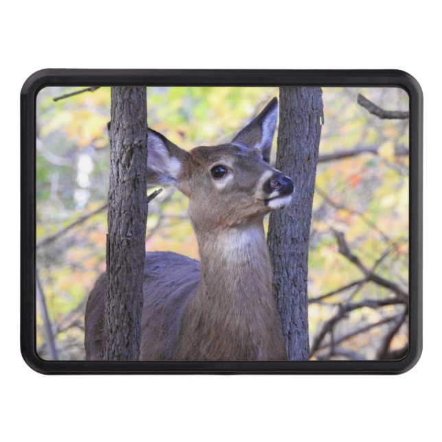 White Tail Deer in Woods Close Up Trailer Hitch Cover (Front)