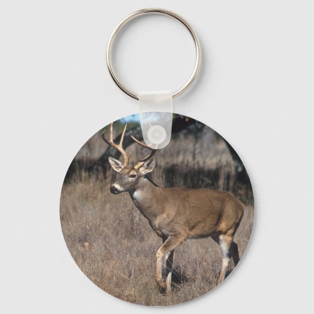 White Tail Deer Keychain (Front)