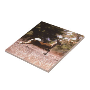 White-Tail Deer Running Tile