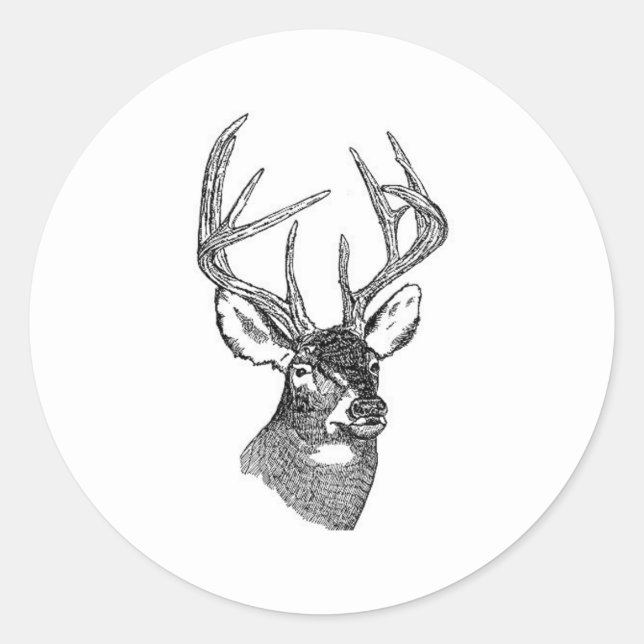 White Tail Deer Trophy Buck Classic Round Sticker (Front)