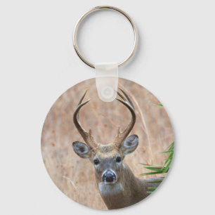 White-tailed Buck Keychain