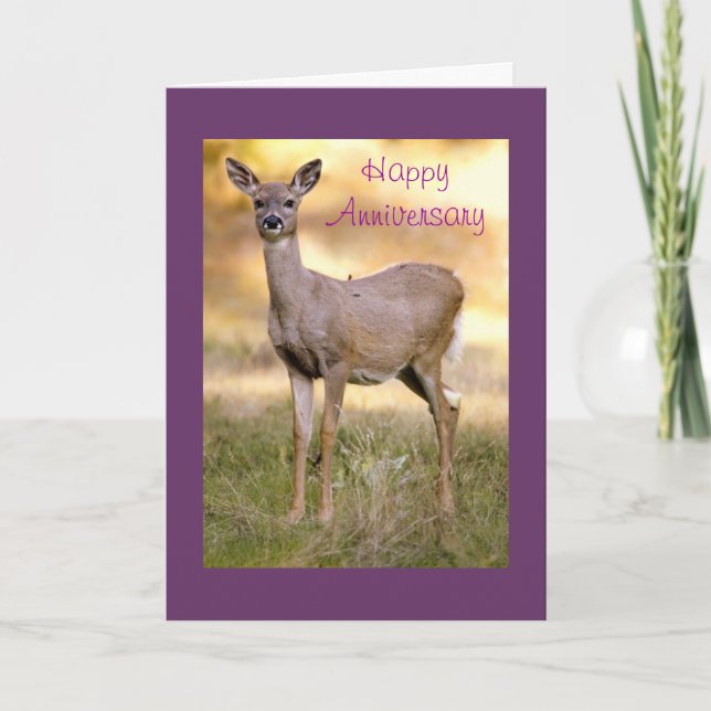 White-tailed Deer, Anniversary Card (Front)