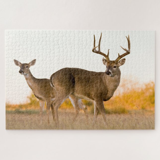 White-tailed Deer | Autumn in Texas Jigsaw Puzzle (Horizontal)