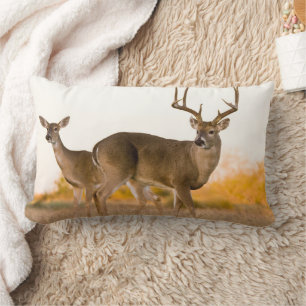 White-tailed Deer Autumn in Texas Lumbar Pillow