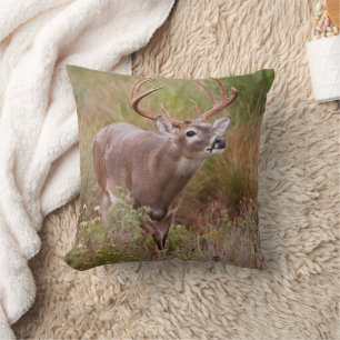 White-tailed Deer Autumn in Texas Throw Pillow