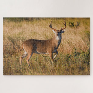 White-tailed Deer   Autumn in TX Jigsaw Puzzle