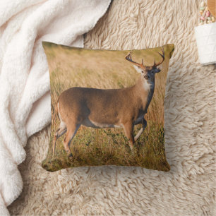 White-tailed Deer   Autumn in TX Throw Pillow