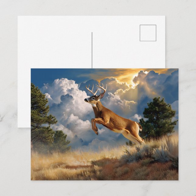White Tailed Deer Buck Postcard (Front/Back)