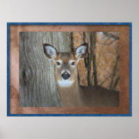 White Tailed Deer Caught Staring