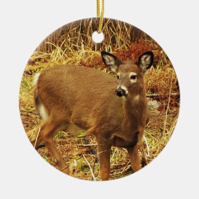 White Tailed Deer Ceramic Ornament (Front)