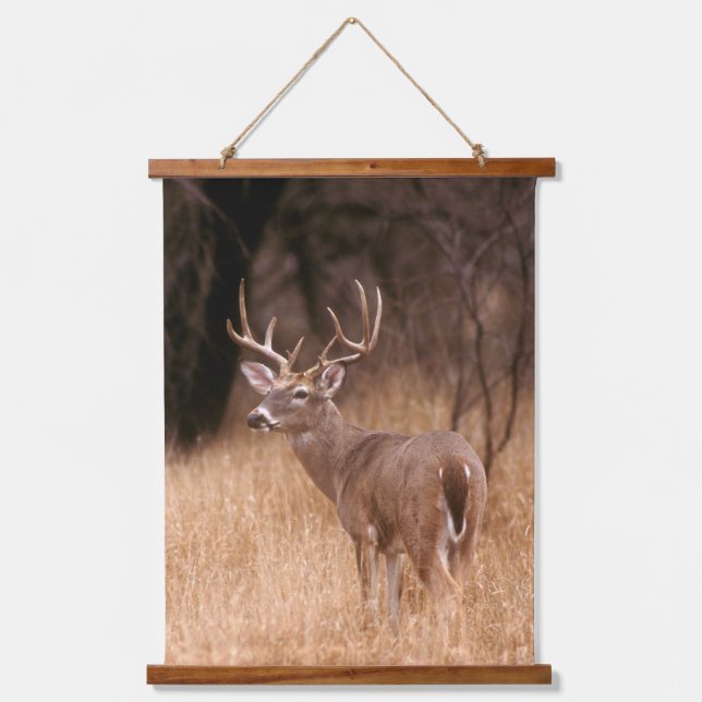 White Tailed Deer |  Choke Canyon State Park, TX Hanging Tapestry (Front)