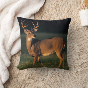 White-tailed Deer Choke Canyon State Park, TX Throw Pillow