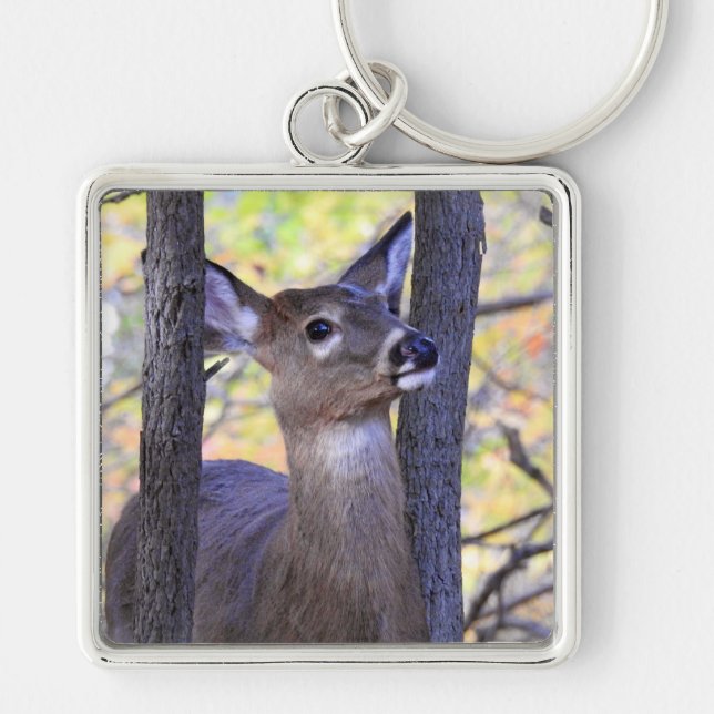 White Tailed Deer close up in the woods Keychain (Front)