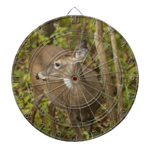 White Tailed Deer Dartboard