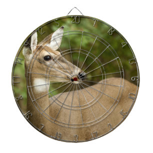 White Tailed Deer Dartboard