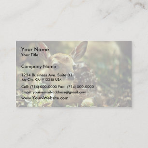 White-tailed Deer Fawn Business Card