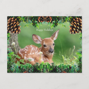 White-Tailed Deer Fawn Christmas Card