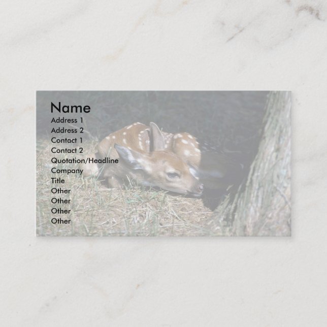 White-tailed Deer-fawn lying by tree Business Card (Front)