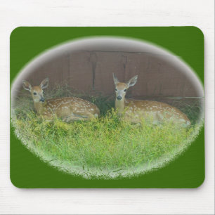 White-Tailed Deer Fawns Mousepad