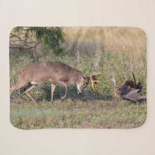 White-tailed Deer Fighting Wild Turkey Sherpa Blanket