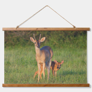 White-tailed Deer Grassy Habitat Hanging Tapestry