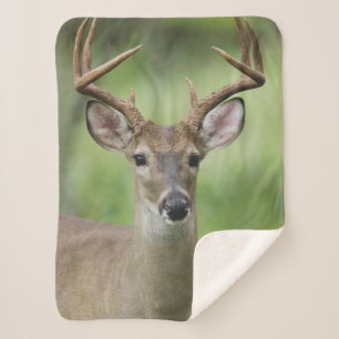White-tailed Deer   Hill Country, Texas Sherpa Blanket