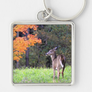 White Tailed Deer In an Autumn Field Keychain