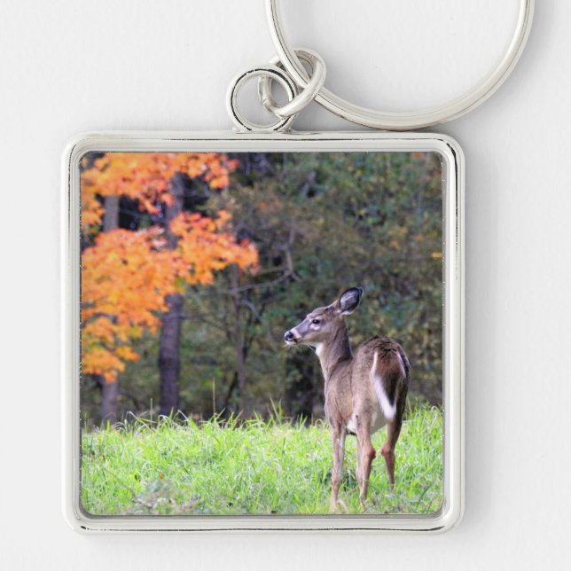 White Tailed Deer In an Autumn Field Keychain (Front)
