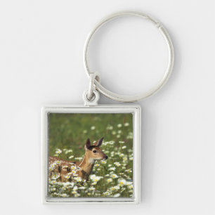 White-tailed Deer in Field of Flowers Keychain
