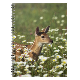 White-tailed Deer in Field of Flowers Notebook