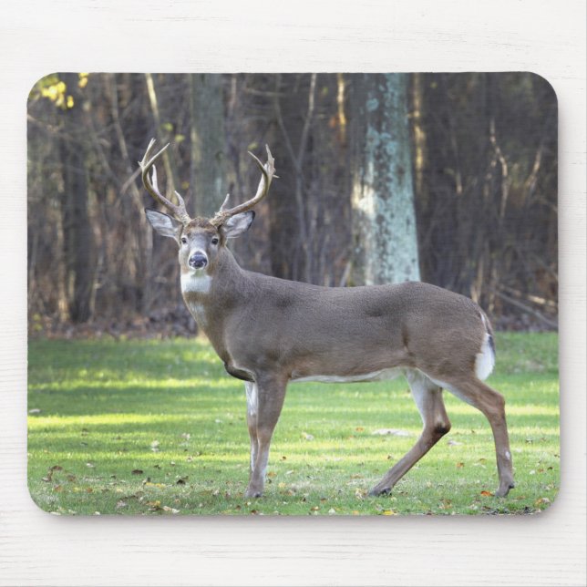White tailed deer mouse pad (Front)