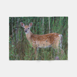 White-tailed Deer   National Bison Range Montana Fleece Blanket