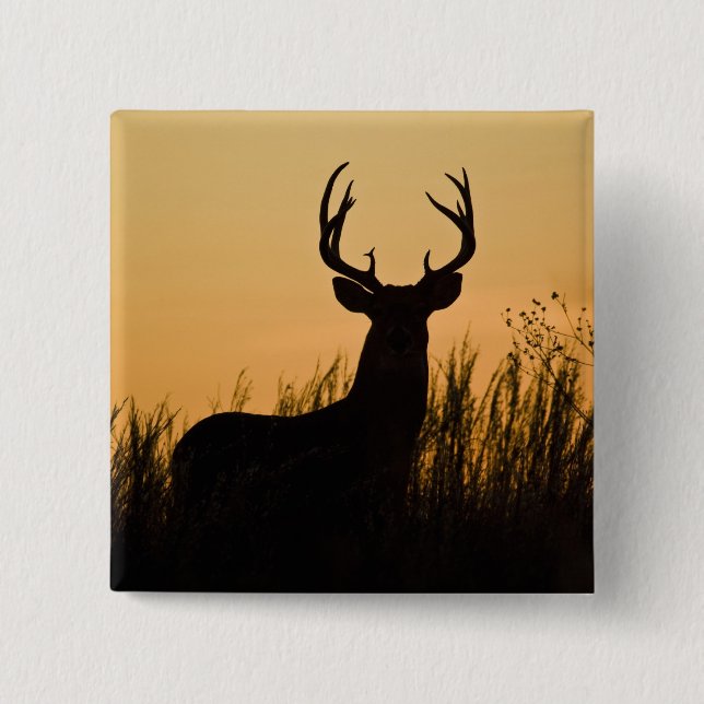 white-tailed deer Odocoileus virginianus) 2 Inch Square Button (Front)