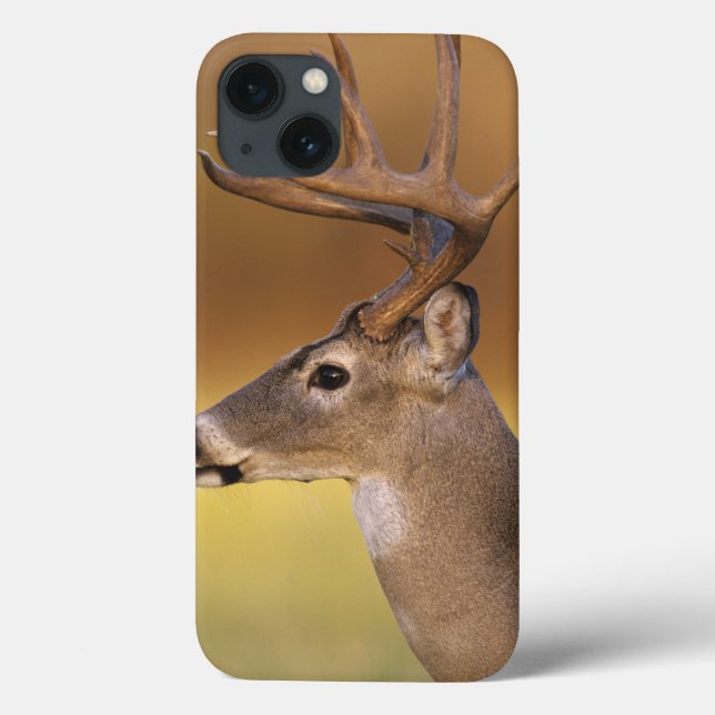 White-tailed Deer, Odocoileus virginianus, Case-Mate iPhone Case (Back)