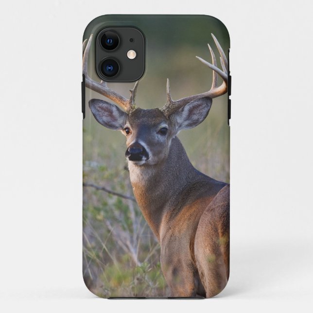 white-tailed deer Odocoileus virginianus Case-Mate iPhone Case (Back)