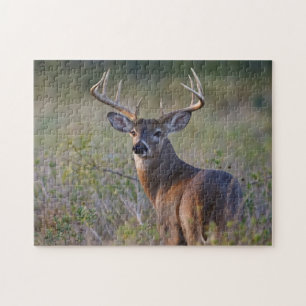 white-tailed deer Odocoileus virginianus Jigsaw Puzzle