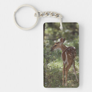 White-tailed Deer, Odocoileus virginianus Keychain