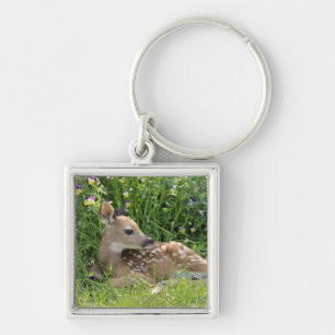 White-tailed deer (Odocoileus virginianus) Keychain