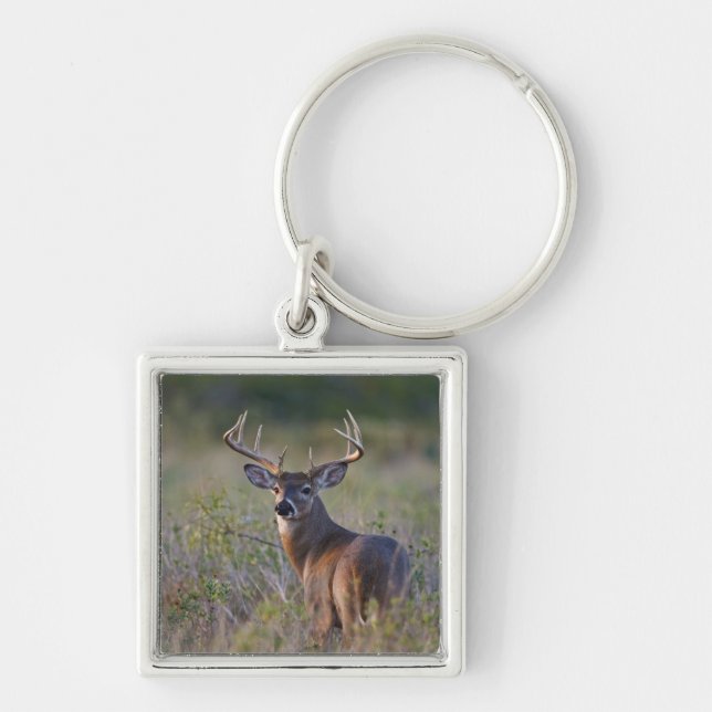 white-tailed deer Odocoileus virginianus Keychain (Front)