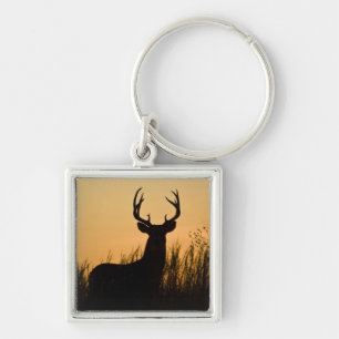 white-tailed deer Odocoileus virginianus) Keychain