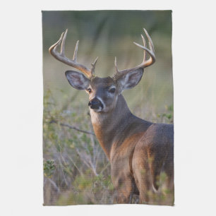 white-tailed deer Odocoileus virginianus Kitchen Towel