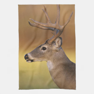 White-tailed Deer, Odocoileus virginianus, Kitchen Towel