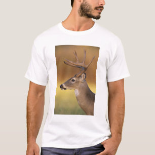White-tailed Deer, Odocoileus virginianus, T-Shirt