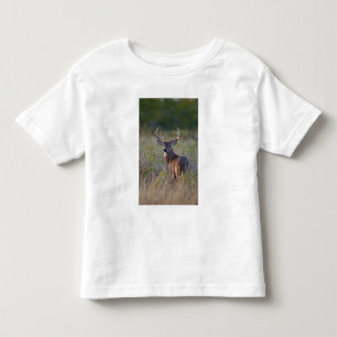 white-tailed deer Odocoileus virginianus Toddler T-shirt