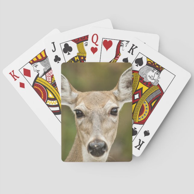 White Tailed Deer Playing Cards (Back)